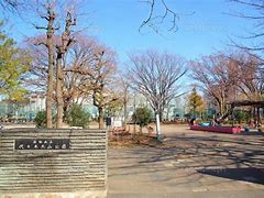 公園　代々木大山公園（公園）まで1005m