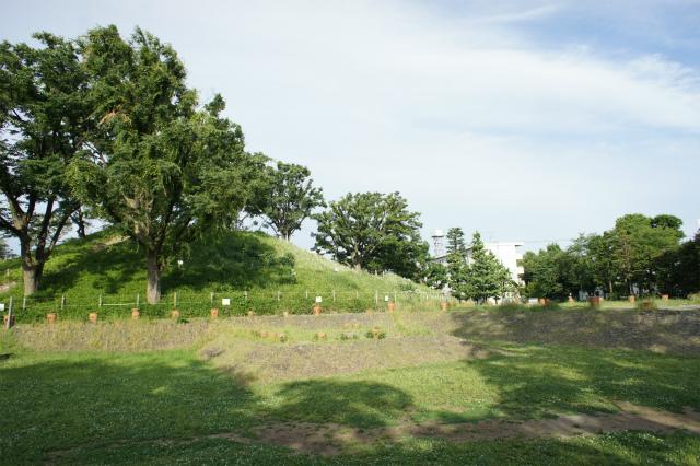 【ＪＰ　ｎｏｉｅ　等々力の公園】