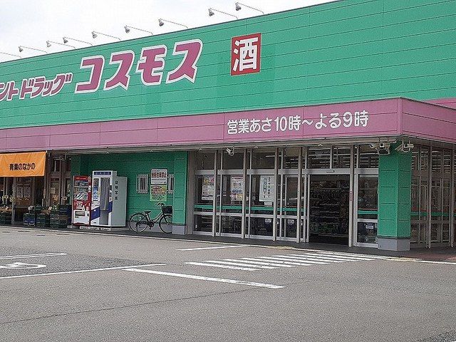 【熊本市南区城南町下宮地のアパートのドラックストア】