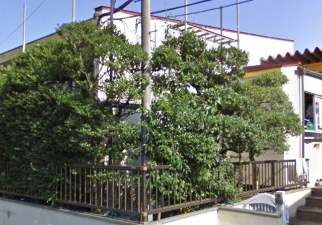 幼稚園・保育園　鶴川平和台幼稚園（幼稚園・保育園）まで882m