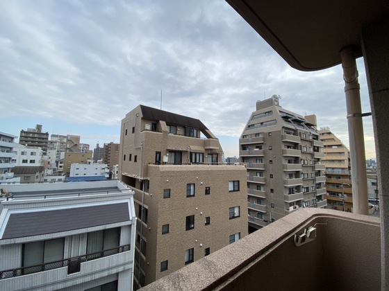 眺望　※別部屋の写真です