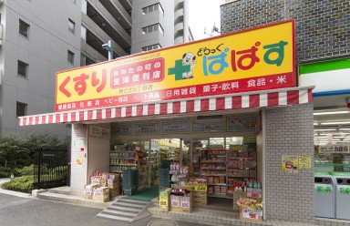 ドラックストア　どらっぐぱぱす勝どき5丁目店（ドラッグストア）まで139m