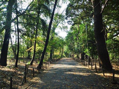 公園　林試の森公園（公園）まで570m