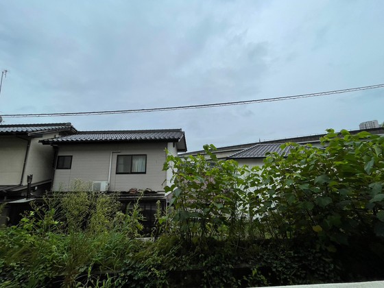 眺望　※別部屋の写真です