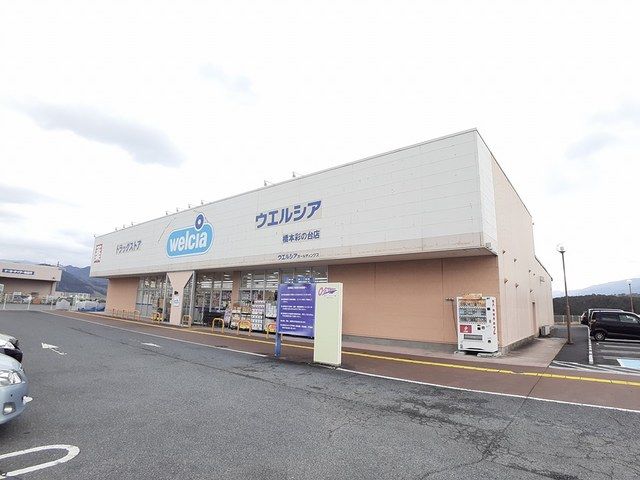 【橋本市隅田町中島のアパートのドラックストア】