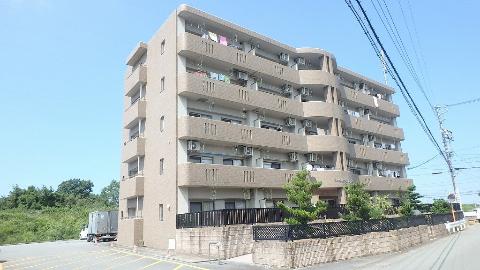 ランドマーク ジン_トップ画像