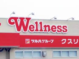 ドラックストア　ドラッグストアウェルネス角盤店（ドラッグストア）まで534m