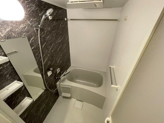バス・シャワールーム　※別部屋の写真です
