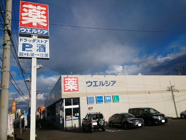 ドラックストア　ウエルシア安中郷原店（ドラッグストア）まで450m