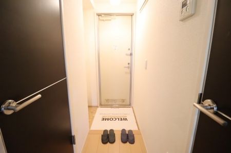 つくばエクスプレス 流山おおたかの森駅 徒歩8分 3階建 築19年の玄関写真