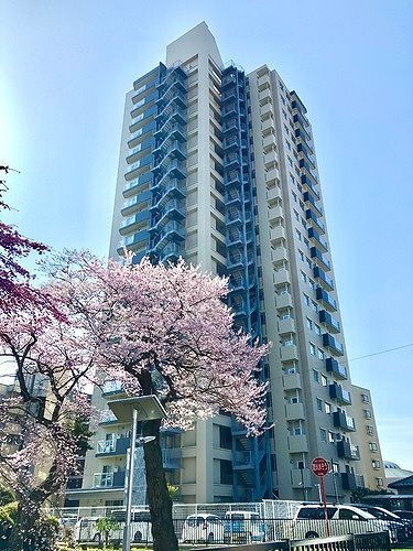 仙台市宮城野区榴ケ岡のマンションの建物外観