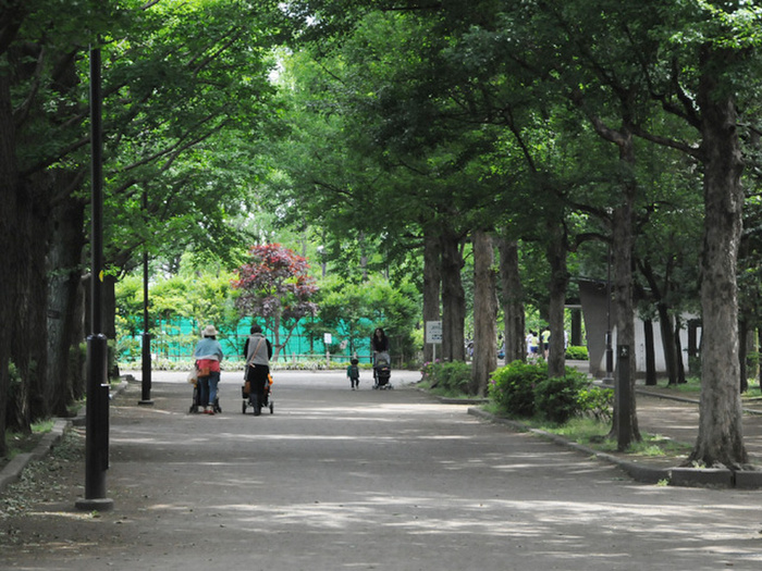 公園　羽根木公園（公園）まで227m