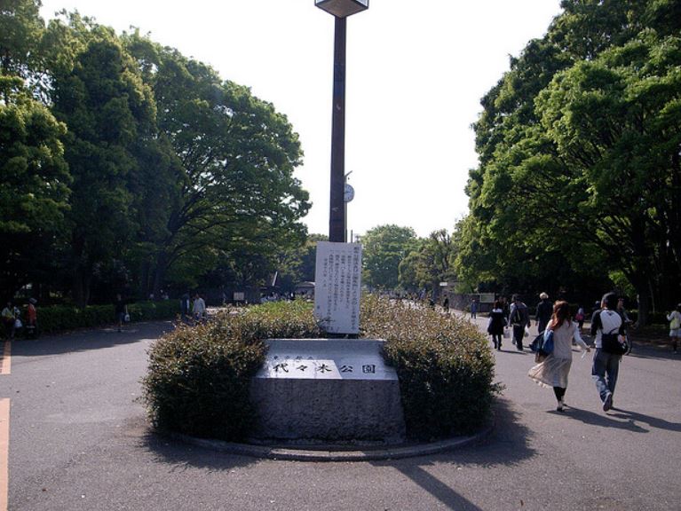 公園　代々木公園（公園）まで347m