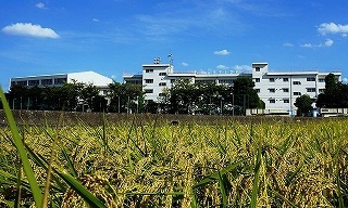 小学校　川越市立牛子小学校（小学校）まで1048m