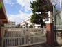 小学校　広島市立大河小学校（小学校）まで455m