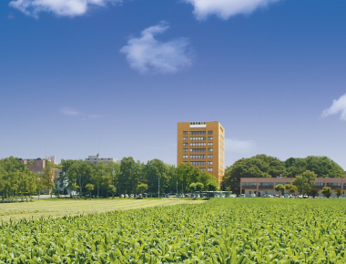 【江別市野幌若葉町のマンションの写真】