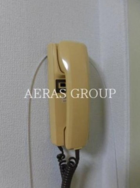 セキュリティ　同仕様タイプ