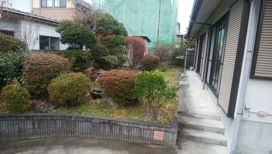庭