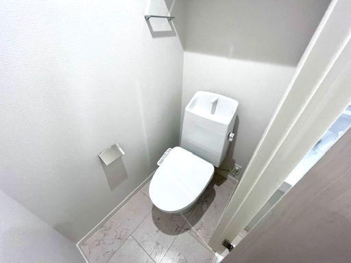 ALTIRA IKEBUKUROのトイレ写真