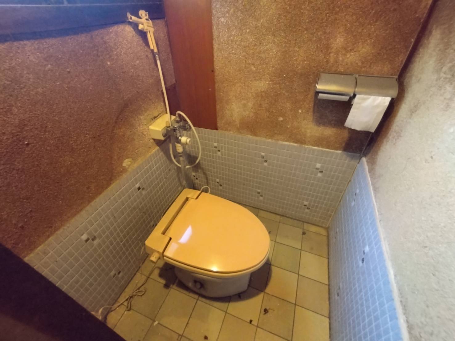 あま市金岩上屋敷貸家のトイレ写真