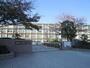 中学校　開成中学校（中学校）まで444m