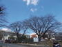 小学校　南ヶ丘小学校（小学校）まで200m