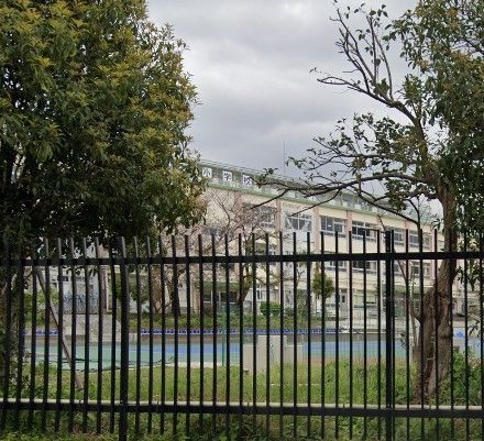 小学校　豊島区立高松小学校（小学校）まで870m
