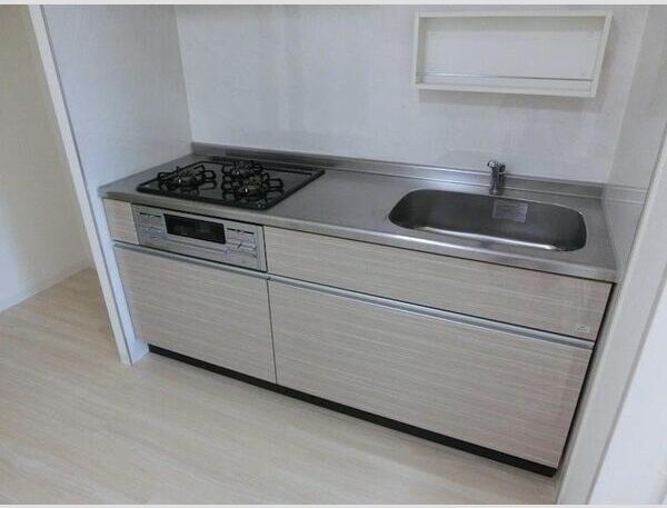 マイコスモスのその他写真