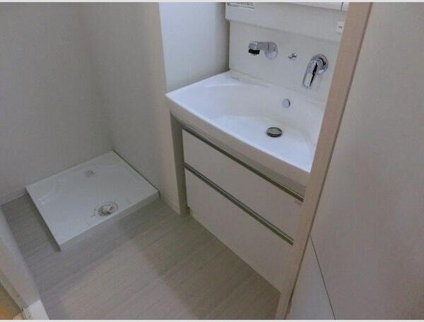 マイコスモスのその他写真