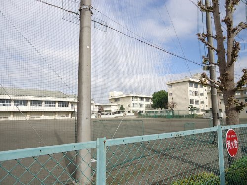 中学校　相模原市立麻溝台中学校（中学校）まで857m