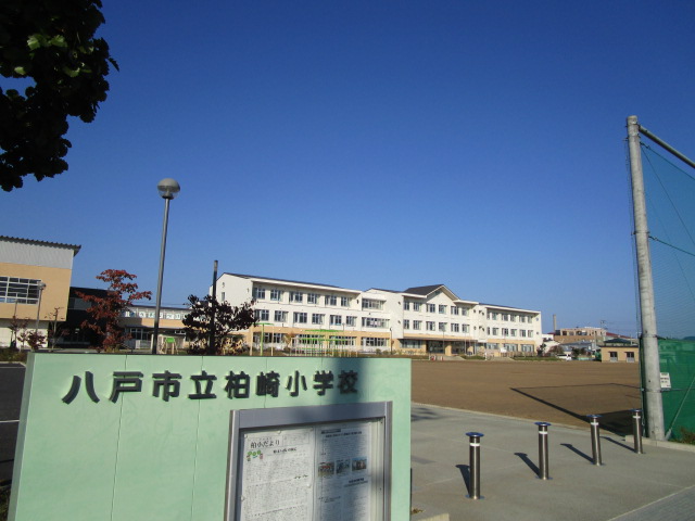 【シャーメゾンイシファインＢの小学校】