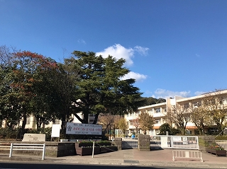 【パークオーシャン桜島桟橋通りの小学校】