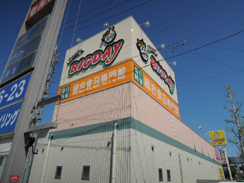 スーパー　エブリィビッグデー 有玉南店（スーパー）まで1251m