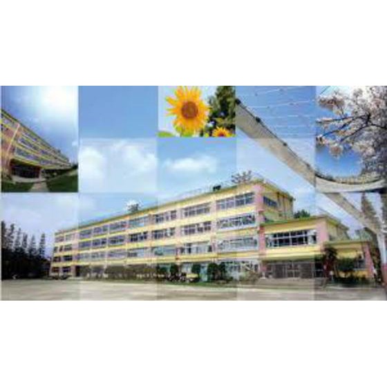 中学校　杉並区立向陽中学校（中学校）まで1023m