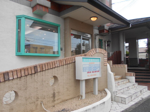 その他　浜の宮動物病院様（その他）まで800m