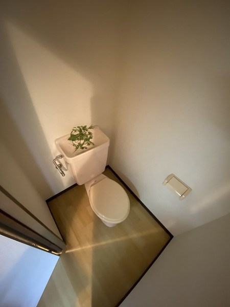 デルフィーノ坂本のトイレ写真