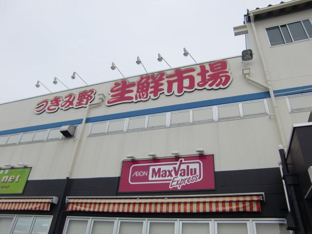 スーパー　つきみ野生鮮市場（スーパー）まで1600m