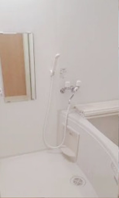 バス・シャワールーム　別部屋同仕様タイプ