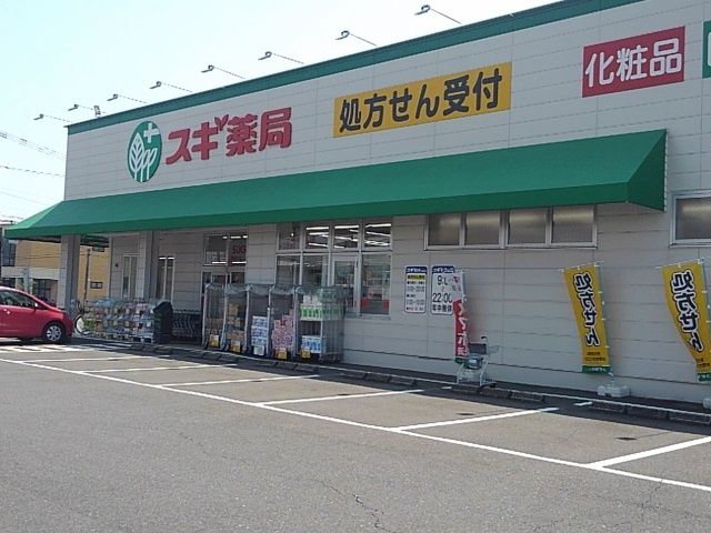 【羽島市竹鼻町狐穴のアパートのドラックストア】