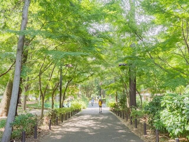 【ＶＯＧＵＥの公園】