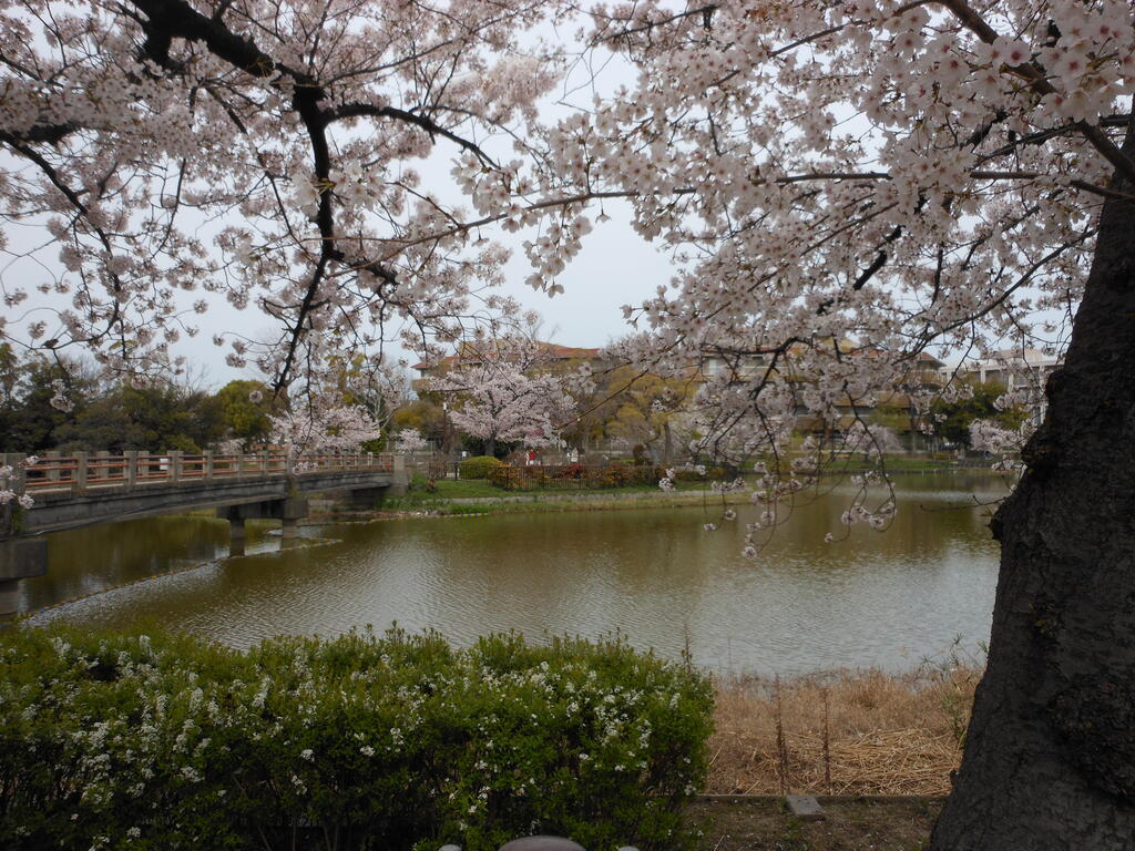 【ベルメゾン帝塚山の公園】