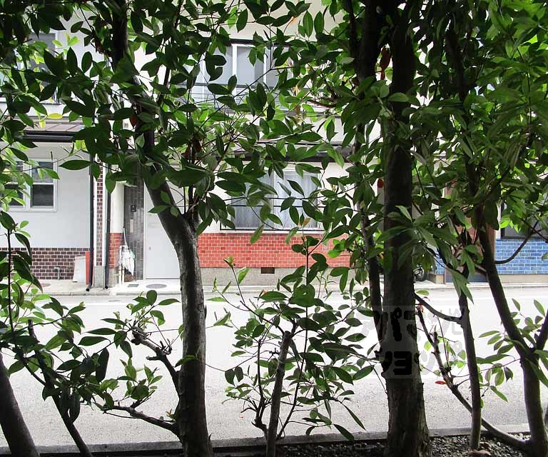 眺望　１０６号室の写真です。