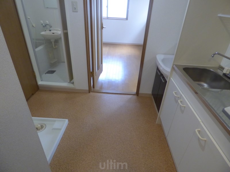 その他　洗濯機置き場※同タイプの他のお部屋です