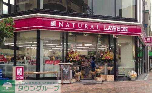 コンビニ　ナチュラルローソン広尾五丁目店（コンビニ）まで260m