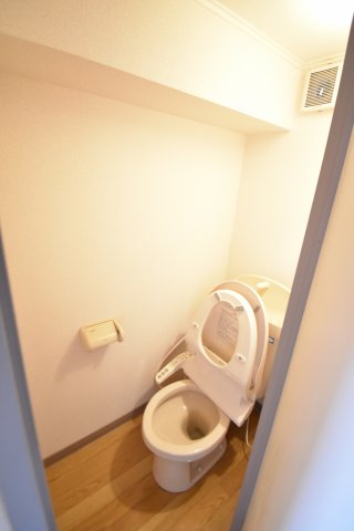 トイレ　画像は別号室。ご参考にどうぞ