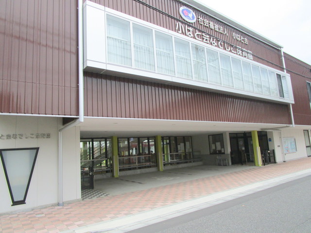 幼稚園・保育園　小ばと会なでしこ保育園（幼稚園・保育園）まで669m