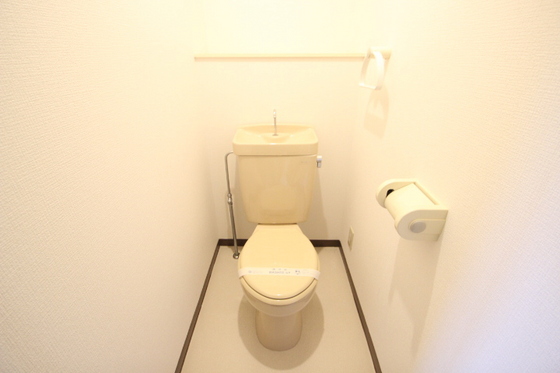トイレ　※別号室の写真です