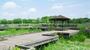 公園　舎人公園（公園）まで690m