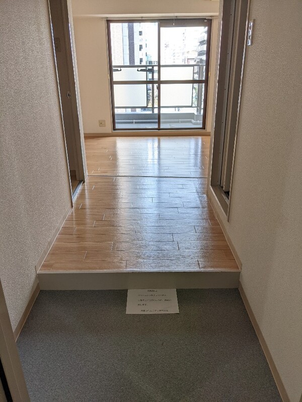 その他　サクセス島之内　玄関