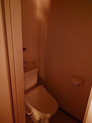トイレ　別部屋同タイプの写真です。